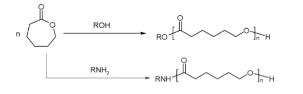 caprolactone-monomer-torsional-strain