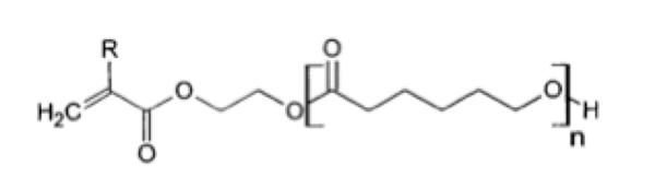 modified-caprolactone-monomer