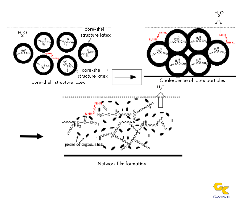 Emulsion Film Formation