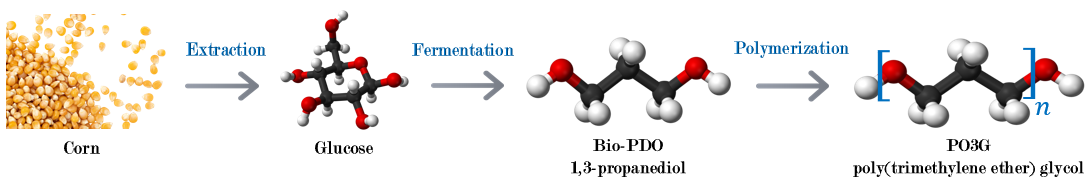 Polymerization of PO3G