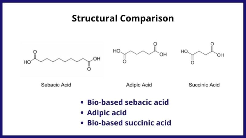 StructuralComparison-SuccinicAcid